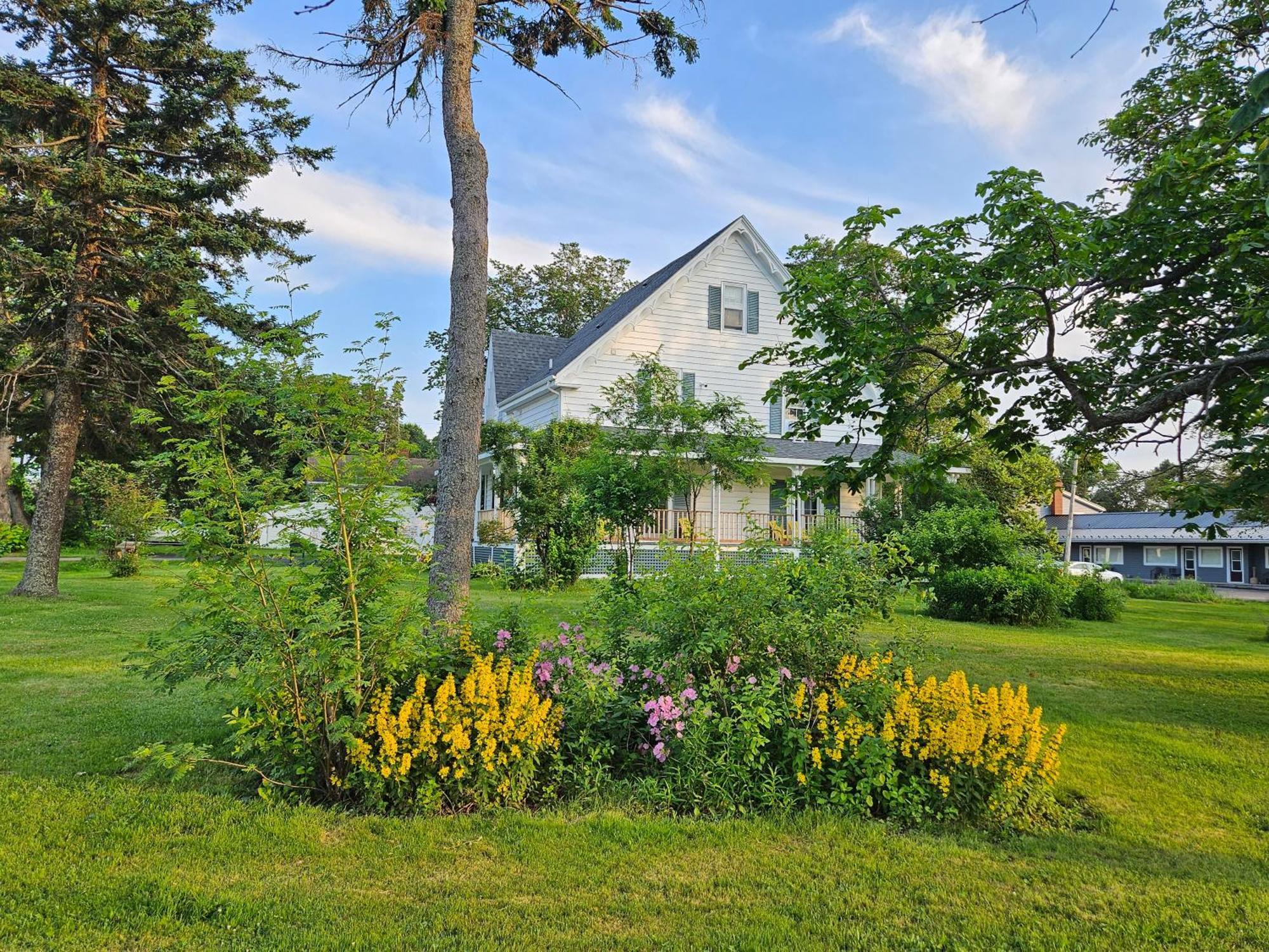 Sunflower Guest Suites Съмърсайд Екстериор снимка